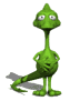 Pics and Videos